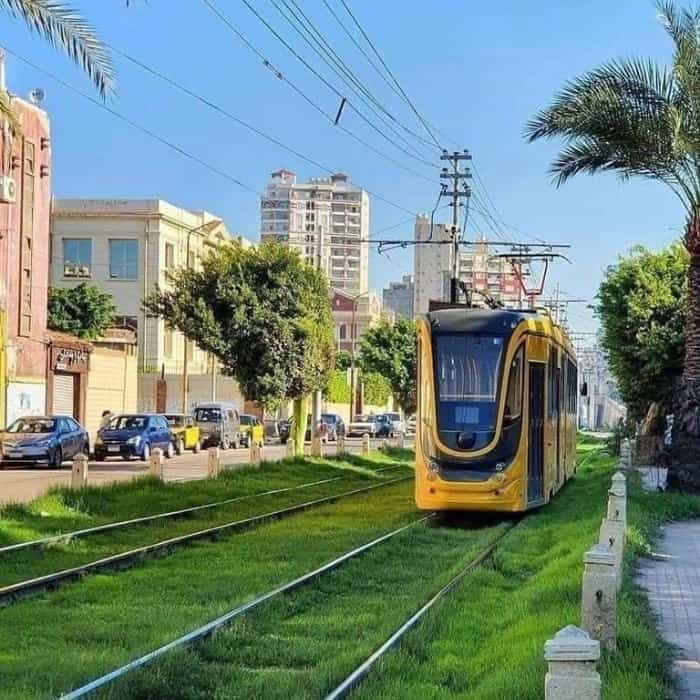 About Alexandria