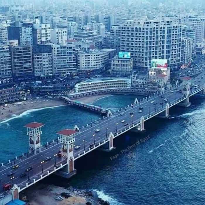 About Alexandria