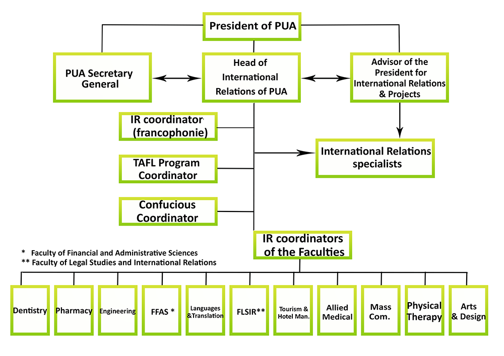 Ngo Organizational Chart