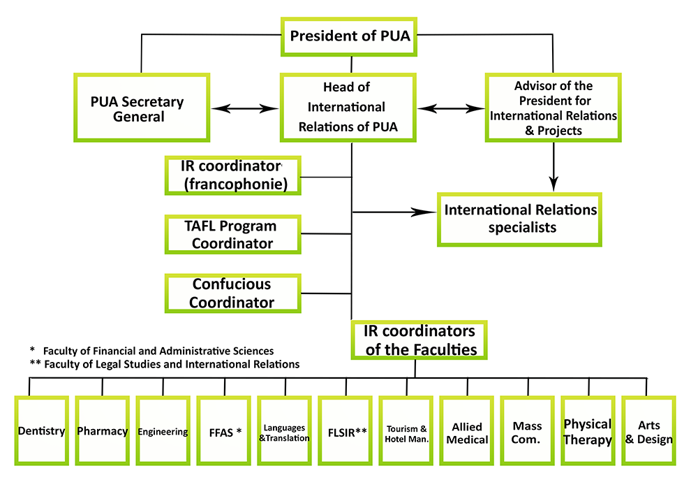 Financial Advisor Organizational Chart