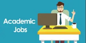 Academic job