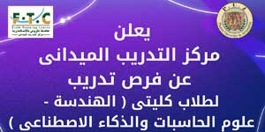 Training Opportunities at Telecom Egypt