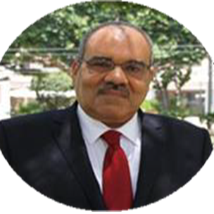 Professor Ramadan Awad