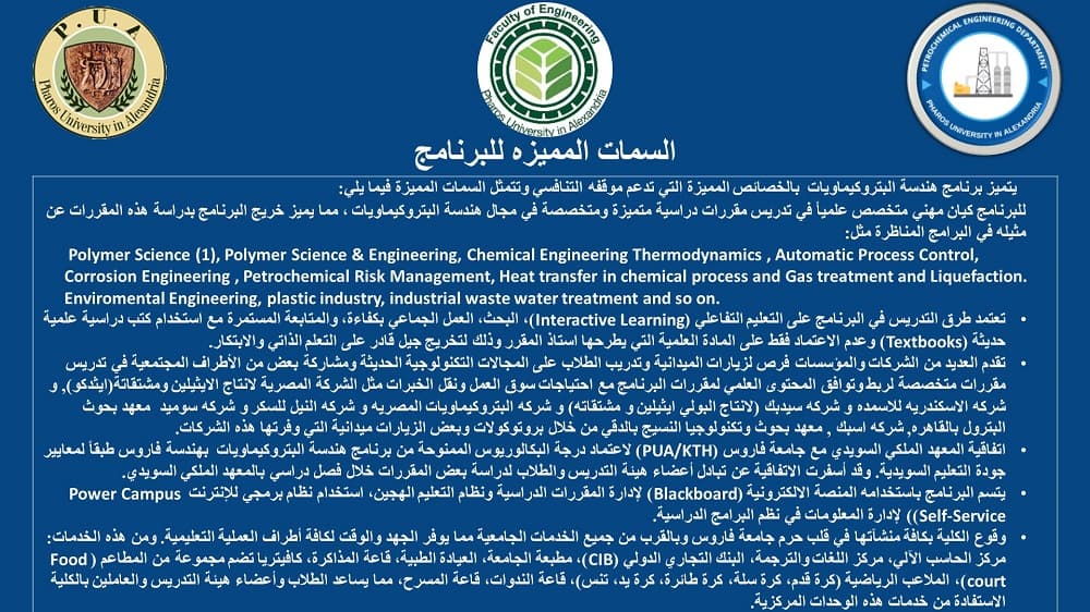 هندسة البتروكيماويات