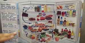 Food Safety and Preservation