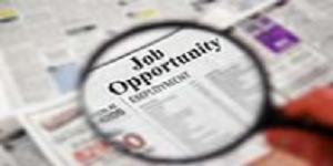 فرص توظيف بشركة بانيريوم لتكنولوجيا المعلومات (1)