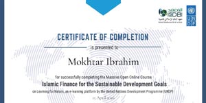 الاستدامة والتمويل الإسلامي